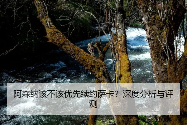 阿森纳该不该优先续约萨卡？深度分析与评测