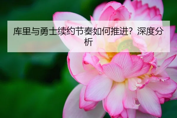 库里与勇士续约节奏如何推进？深度分析